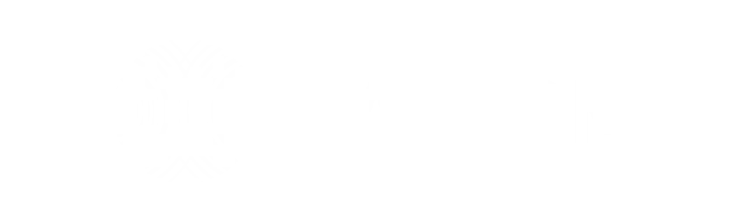 RADCOM Logo